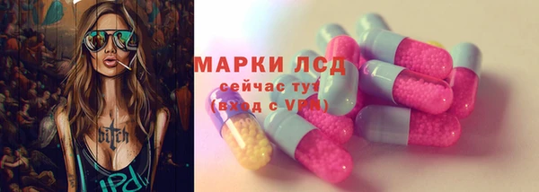 стафф Бородино