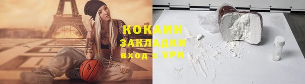 стафф Бородино