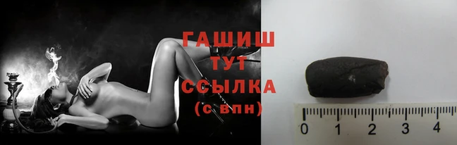 стафф Бородино