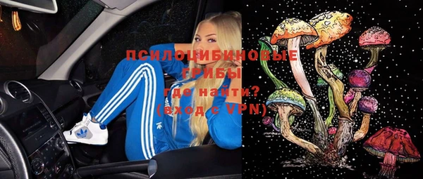 стафф Бородино