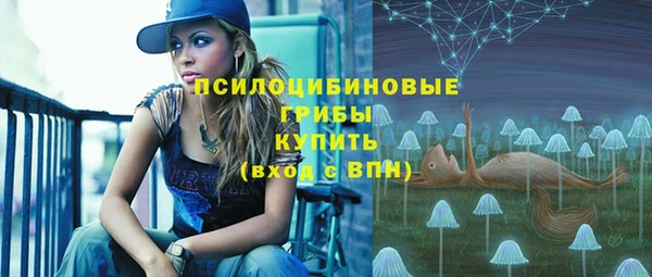 гашик Бугульма