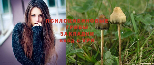гашик Бугульма