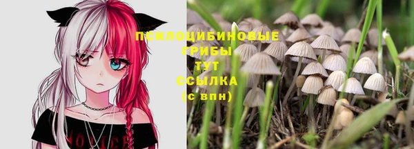 гашик Бугульма