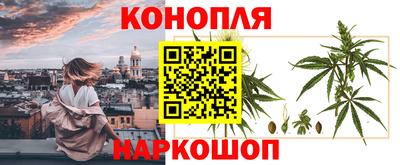 крисы Изобильный