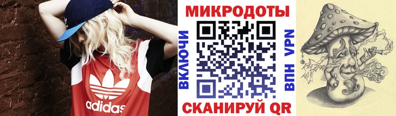 mega ТОР  Гудермес  Псилоцибиновые грибы Cubensis 