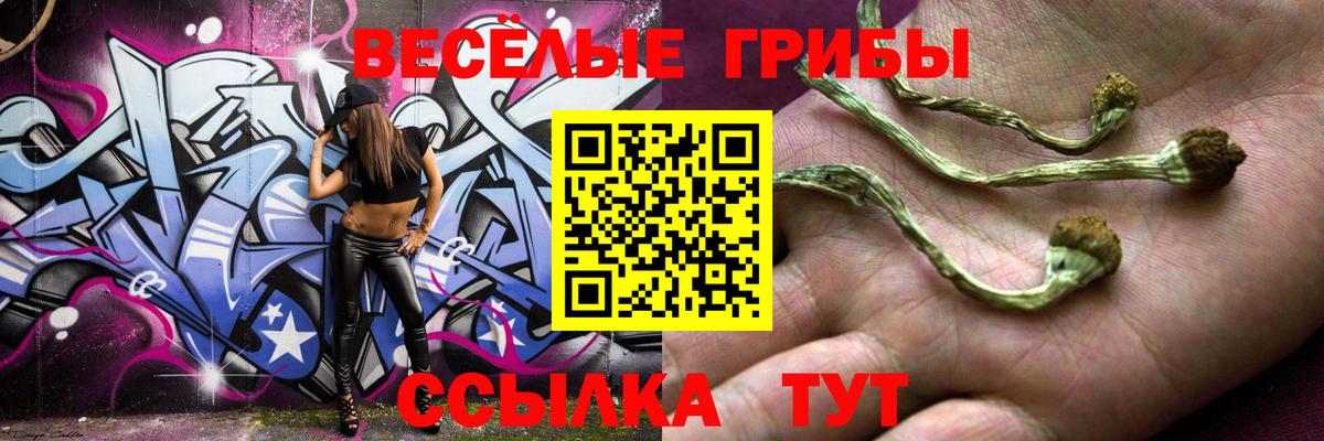 Галлюциногенные грибы GOLDEN TEACHER  Вход с VPN  Гудермес 